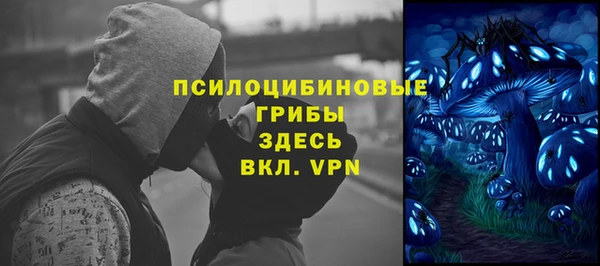 твердый Краснослободск