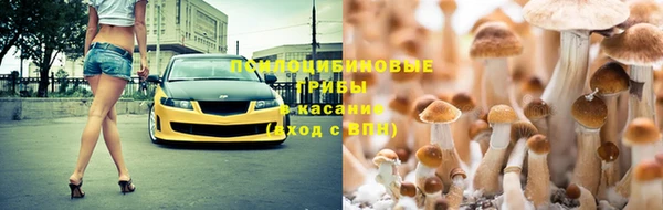 соль ск Краснотурьинск