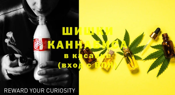 каннабис Корсаков