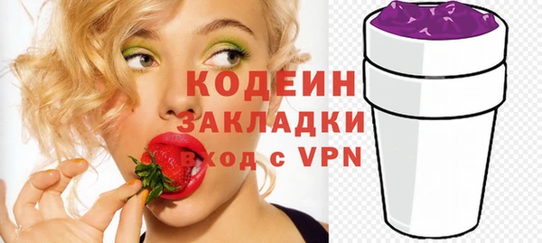 твердый Краснослободск