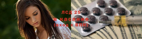 твердый Краснослободск