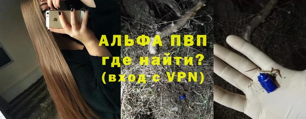 твердый Краснослободск