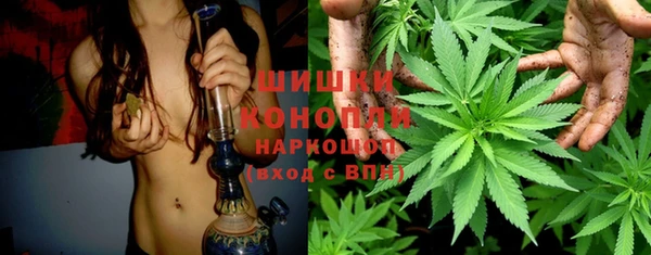 ALPHA PVP Костерёво